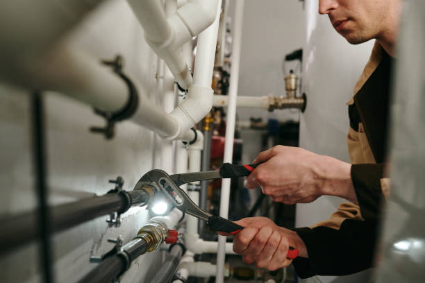 Best Leak Detection Services  in Morton, IL