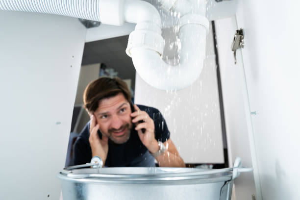 Best Sewer Line Repair  in Morton, IL