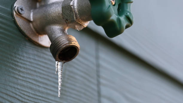 Best Drain Cleaning Services  in Morton, IL